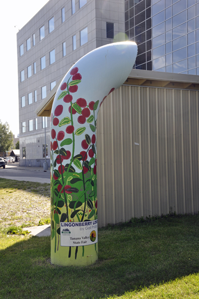 painted air vent pipe in Fairbanks AK